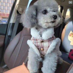 H~G̗ntxXgAybgp̏^AefBA|jAALp̓~pۉ2