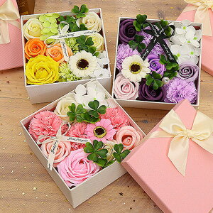 \[vt[ u[P {bNX ̓ ̓ v[g ꂳ   t t[\[v ԑ o o^C a j LO Mtg V{t[   