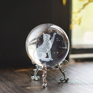 NX^{[ u 3D ʂɕяオhS  [U[ t ۋ lH  킢  L IuWF ̒u NX^ ŋܖ{ c间 CeA 