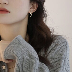 ؍ CO  sAX v[gAM[Ή-؍t@bV-T[WJXeXsAX 304