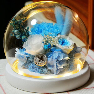 vU[uht[ KXh[ {̉ J[l[V t[  LED ͂Ȃ v[g zCgf[ ̓ hV̓ LO 