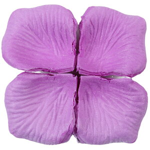  t[V[ Ԃт 100Zbg    o A[gt[ t[y^ fR[V Ԑ  EGfBO p[eB Cxg TvCY DIY J