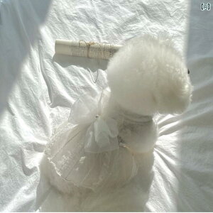 ^p hX 킢 ybg T}[ XJ[g rV efB |jA }`[Y  ^  L EFfBOhX