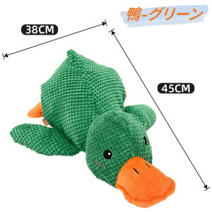  p   ʂ V  p ނ V~[gꂽ̂ XgX v ϋv   p I`