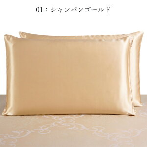 Pi Jo[ VN ܂Jo[ 43×63cm 50×70cm VN100 VN wAPA  ێ r \h ܂ iCgPA Ƃ  s[Jo[ s[P[X silk100 t@Xi[ Ɣ