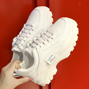 Xj[J[ fB[X Xj[J[ _bhXj[J[ fB[XV[Y ؍ tH~ [Jbg [XAbv r I` JWAC miniministore 99DKXY-012