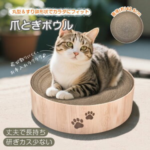 ܂Ƃ Lp܂Ƃ{E L̒ܕ L܌ _{[ ی^ 42.5cm 蔫` JXoɂ LQ Lxbh L