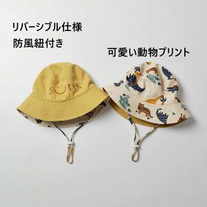 xr[ Xq  q c LbYnbg 2WAY o[Vu xr[nbg  h ct w qp O΍ 悯 AEghA o tďH UVJbg s C  oPbgn