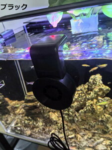 p p t@ pN[[  N[[ ^ USB pt@ tȒP ʒ߉\ 2x ih~ p č΍