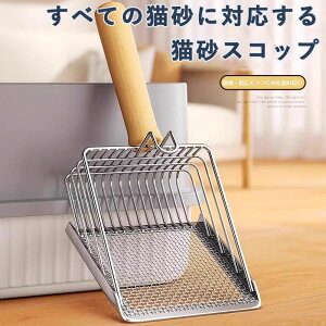 ؐ̃oh LXRbv LXRbv Ƃ̌y 2TCYԖ Lpi LVx LpXRbv pi lRgC  ƒp 