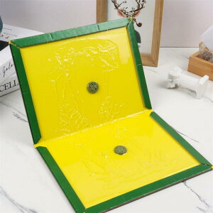 S lY~߂V[g ubN^ Q΍ ͔SV[g lY~悯 (5)i10j