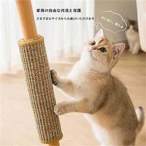 L  }bg ܂ƂL VRTCU x L҂L ܂Ƃ ΍ ܂Ƃ L ܖ L ܃pbh Ƌ\t@ی ^sP TCY