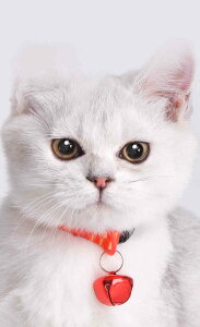 m~ 悯 ybgp 8 Lp p ybg m~E_j΍pi m~ 悯  Ꮬ΍ TCY R ybgp  lbNX