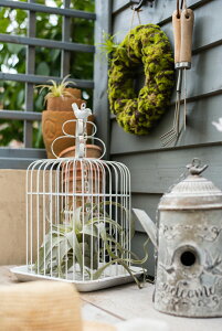 ^ t[X^h t[x[X o[hQ[WX^h ACA o[hK[{ K[fjO K[f G v^[ AeB[N ԑ t[Q[W I[ig IuW