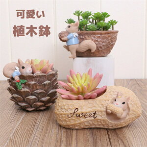 Aؔ v^[ ~j   RPE ۃE    T{e A 񂹐A u CeA 킢  eE e  K[fjO ObY G