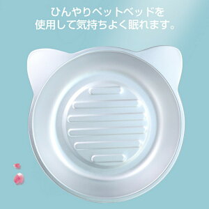 L N[xbh STCY 38*38cm LTCY45cm*45cm A~xbh LN[ A~Lbg{ELp ЂN[ ėp L p ACXxbhA~ p}bg ⊴ ~ M 