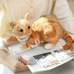 lR L Lbg ʂ  傫 A av[g ʂ CeA ̎q X  S30cm