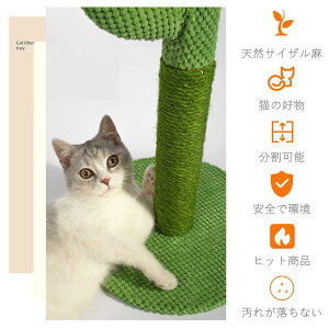 ܂Ƃ|[ L L߂Ƃ|[  L܌|[ Lbg^[ T{e ܌ L L܂Ƃ|[