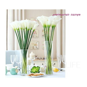 Xg[g^t[x[X ԕr Âԕr KX  VbN lC CeA k ؍ G  v[g 蕨 p rO Vv _  KX  Ԃт 