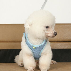  n[lX ^ ́[˂ ^ L [h Zbg Lp q h~ EȒP ˍ ybg lC   ̎q   V s⏕p