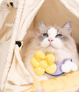 ybgo_i  悾ꂩ XJ[t G ybgp L  t^I ȒPE TCY\ 􂢉\   a v[g  p[eB[ LOBe _炩 