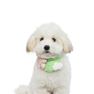 ybgo_i  悾ꂩ XJ[t G ybgp L  t^I ȒPE TCY\ 􂢉\   a v[g  p[eB[ LOBe _炩 