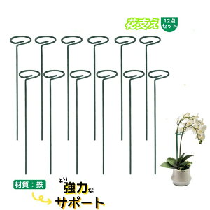 y12_ZbgzԎx Ԃ AT|[g S ͂ȃT|[g ϗtx U x xI t[x 40cm K[fjO _Ɨp |p |x ϗtAgX ėp\