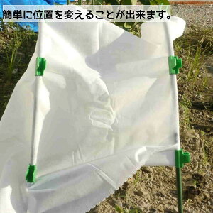 y100gz rj[nEXp rj[V[gNbv xNbv UNbv K[fNbv NvNbv ؉񂽂pbJ[glpbJ[ _ppbJ[ J