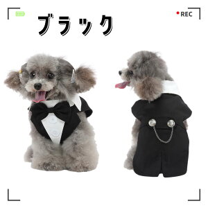  ^LV[h p Lp   L 킢 lN^C JWA Vc ybg p[eB[ a o[Xf[ gCv[h ʐ^f tH[} RX`[ U ybgp