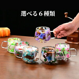 KXJbv _uEH[OX hCt[  Ԃт dOX 200ML ϔMKX 6 i` nht R[q[Jbv eB[Jbv ^fM d\ t KX