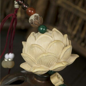 V Cy  @̉ CeA ݂艺 ؐ [~[p bhorO[ ԓ LL J[~[ ANZT[ v[g  肨 ԓANZT[ obN