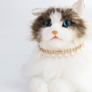 Lp L  p ybgplbNX p  ߉\ L̃ANZT[ 킢 ؂₩ Lp`[J[ ybg y L/^ɓKp ECO S[fp[ V