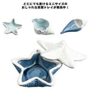 ANZT[g[  VF gC [ ~ u L^ ʏ AjeBP[X [ LbVgC ~j Be g[ v[g G CeA 킢 _ u 