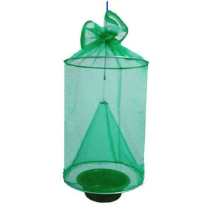 nG Ԃ牺 ܂肽 nGߊlpP[W lbg U tC Lb`[ nGގ