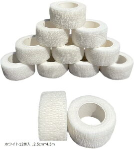 e[v  e[sO GX`bN of[W ȔS Lk e 2.5cmx4.5m(zCg12, 2.5cmx4.5m)