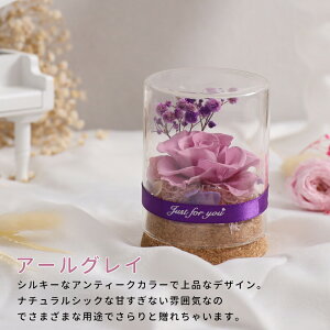 vU[uht[ Mtg ԑ o v[g ͂Ȃ {gt[ av[gEjE\E蕨 KXh[ ̓ ޏ  v[g a j 