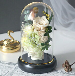 a vU[uht[ Mtg ԑ o v[g ͂Ȃ {gt[ av[gEjE\E蕨 KXh[ ̓ ޏ  v[g a 