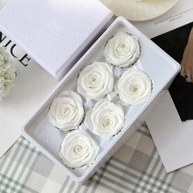 プリザーブドフラワー 1箱6輪入 永遠の花 永生花 枯れない花 バラ ギフト 薔薇 ローズ プレゼント ドライフラワー 卒業式 母の日 成人式 成人 誕生日 結婚祝い 母 彼女 結婚記念日 両親 退職祝い 電報 結婚式 還暦祝い お祝い