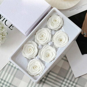 vU[uht[ 16֓ ỉ i ͂Ȃ o Mtg KN [Y v[g hCt[ Ǝ ̓ l l a j  ޏ LO e ސE