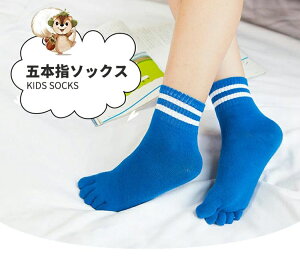 q C qpܖ{w\bNX LbY V[g\bNX  j̎q ̎q X|[c\bNX WjA 5{w {[_[  g    C ʉ w v`M