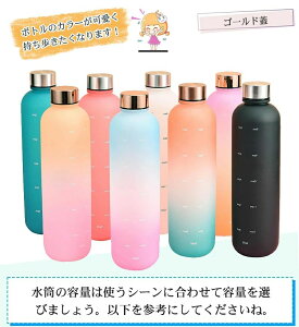 EH[^[{g 1000ml  1bg y ^C}[J[t ~g `x[V ԂƗʕt BPAt[̂vX`bN ˂ݎ̊W WA vX`bNϗ