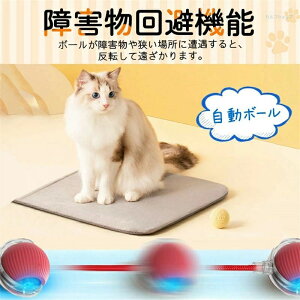  [O{[ USB[d  dL炵 Lp   d{[