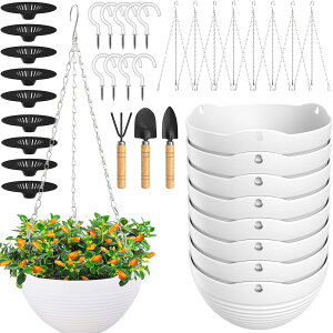 y10znMOv^[ ݂蔫 nMOoXPbg Aؔ ϗtA y nMOX^h  ݂艺  O r a20cm × 10cm zCg  rO 