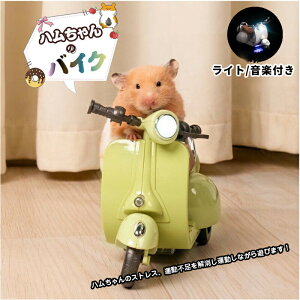 nX^[   doCN Cg y t 360°] I[goĈ ȃybgp ETM bg `` XilY~ lY~   ߋ 킢 XgX ^