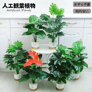 lHϗtA tFCN tFCNO[ ^  65cm  k CeA  O ItBX ݑ tFCNA sv ͂Ȃ ~͐A p Bep  A JXj