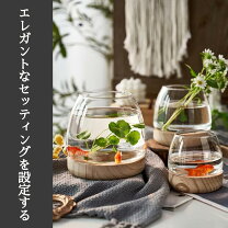 楽天市場】ガラス 瓶 おしゃれ（水槽・アクアリウム｜熱帯魚 
