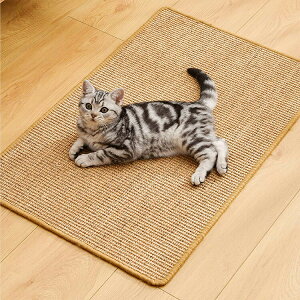 VR ܂Ƃ}bg 60cm×40cm ~ h ybg lR ˂ L ܂Ƃ ߂Ƃ ܌ ܂Ƃh~ V[g  }bg VRf XgX Ƌی Lp ybgpi