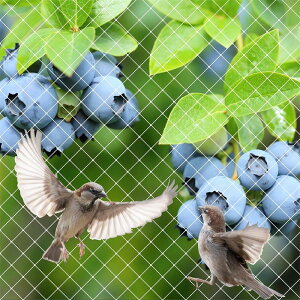 hlbg3m×6m/3m×8m/3m×10m/4m×20m x_ 悯lbg 25mmڍ iC   JX Q΍ u[x[ ʎp  lbg  oht ϕ y ȒPݒu/O E