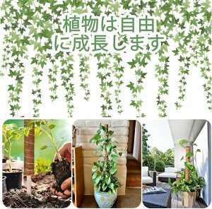 |x Xe x Xe RRibc DIYȂ\ ϗtA A K[fjO ێ {ێ _Ɨp | (2{Zbg)