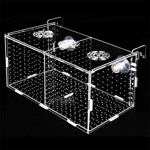 ɐB u{bNX u p z Y  ی كANZT[  AN z ȃXy[X tȒP ی  ߗ 